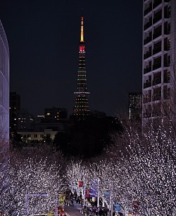東京タワーに、クリスマスカラーが点灯した。