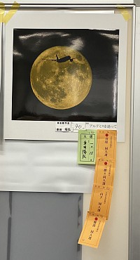 一席に入選　「アルテミスを追って」